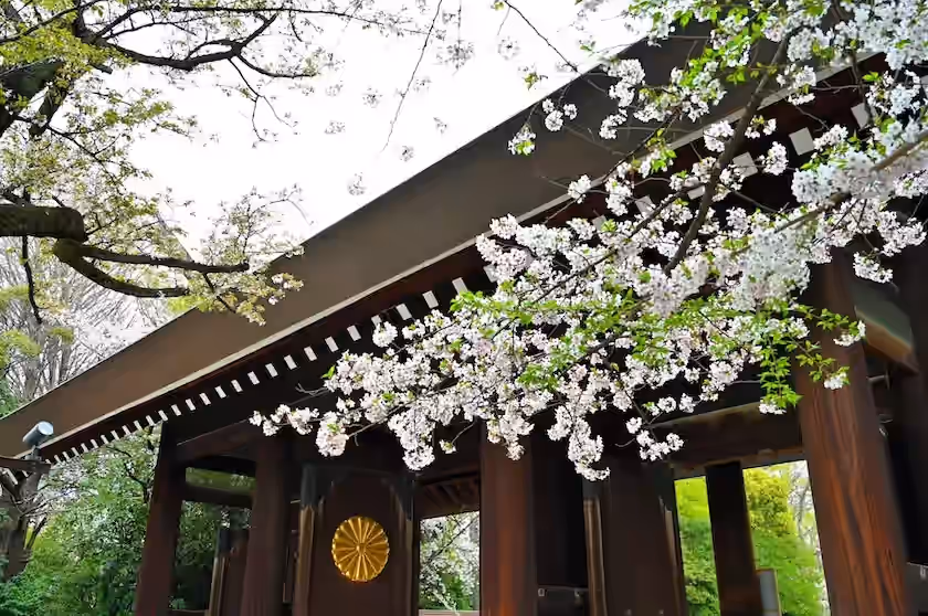 春のある日に、内苑から神門を望む