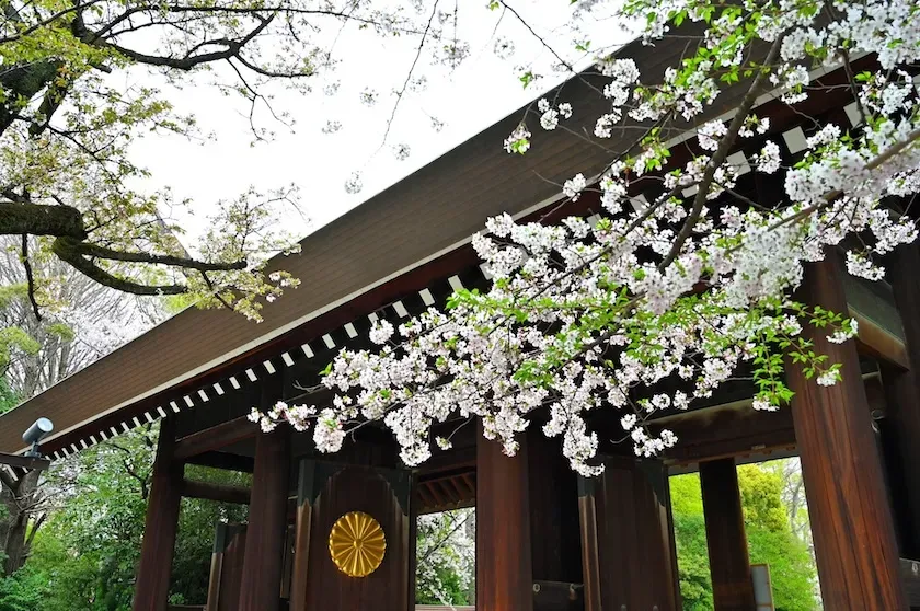靖国神社の内苑から神門を望む春の風景